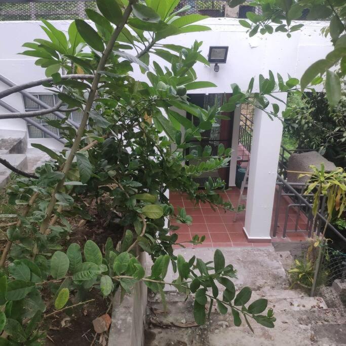 Kk Jungle Hideaway Lovely Apartment 5 Mins Walk To Town Kota Kinabalu Zewnętrze zdjęcie